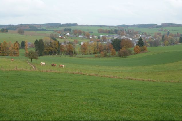 5 november: Volharding in de Ardennen (zie W22)
6 november: Lijn 163 (zie F20)